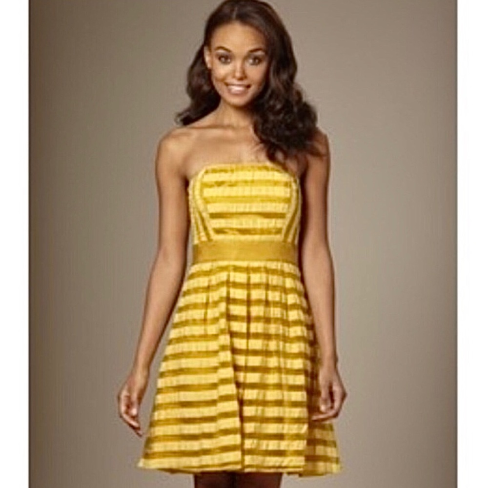 **The Limited Striped Party Formal Crinkle Dress**